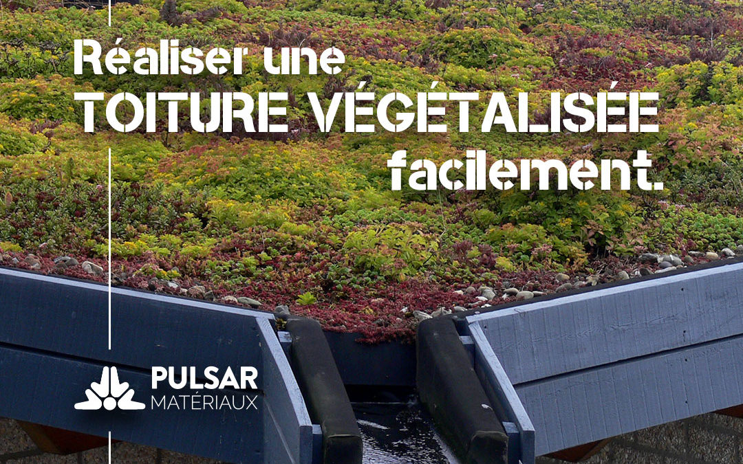 Comment mettre en place une toiture végétalisée