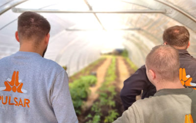 3ème mois de chantier pour le PulsGARDEN