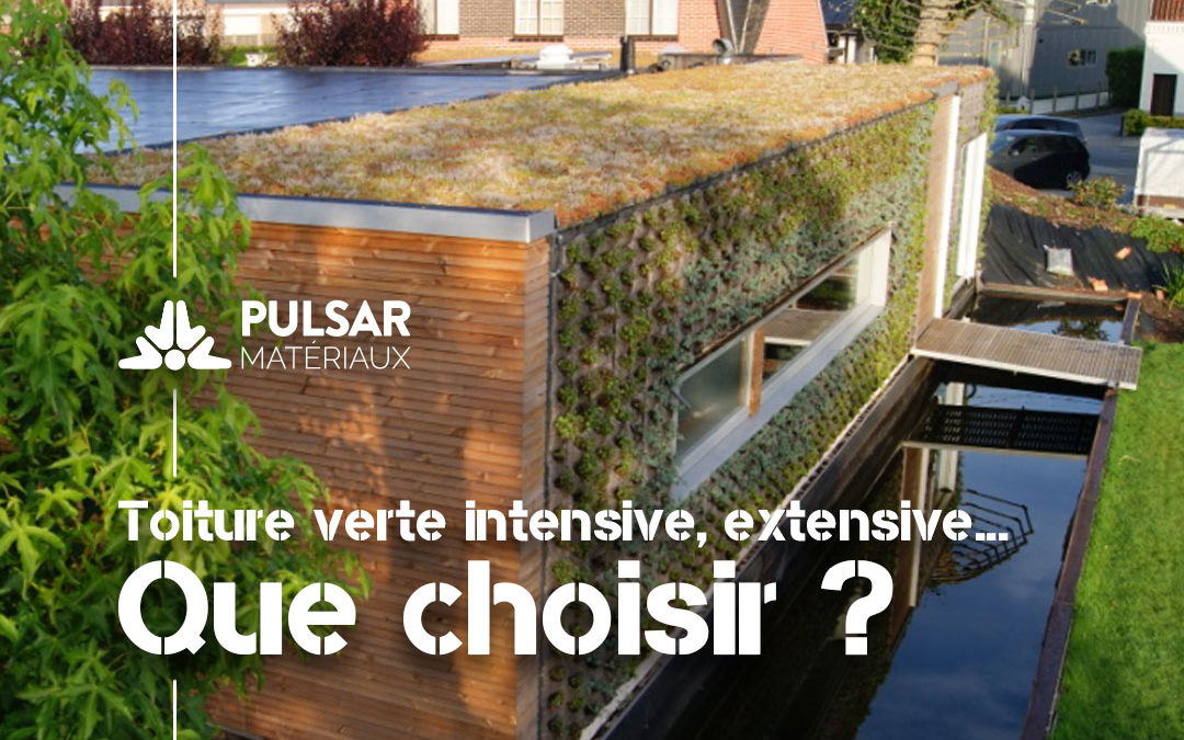 Une toiture verte extensive ou intensive : laquelle choisir ?