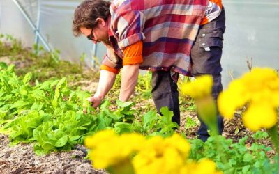 8ème mois pour le PulsGARDEN