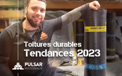 Les Meilleurs Matériaux pour Toitures en 2023 : Guide Complet