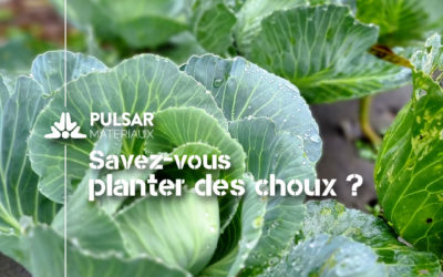 20ème mois pour le PulsGARDEN