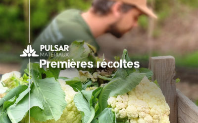 25ème mois au PulsGARDEN : premières récoltes